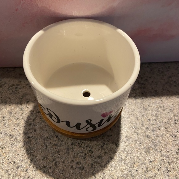 New in box Succulent Pots - Picture 3 of 3